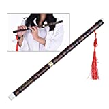 Ammoon Flauta de bambú enchufable hecha a mano Amer Dizi Instrumento ...