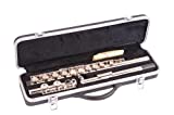 Odyssey OFL100 Flauta Kit Plata