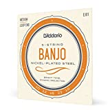 Juego de cuerdas de níquel D'Addario EJ61 para banjo de 5 cuerdas 10-23 mediano