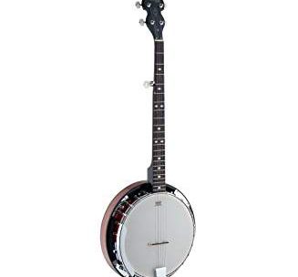 ¿Cuál es el mejor banjo?  ¡El Top 10 de 2021!